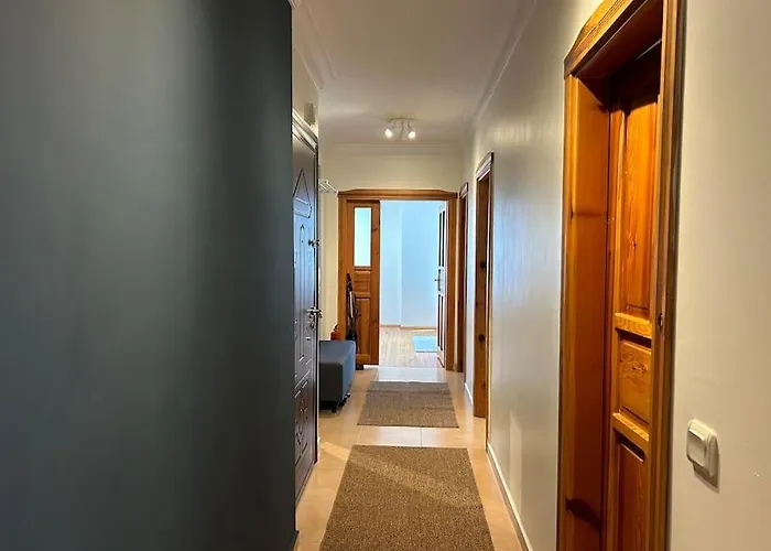 アパート Merkezde Sueit アランヤ