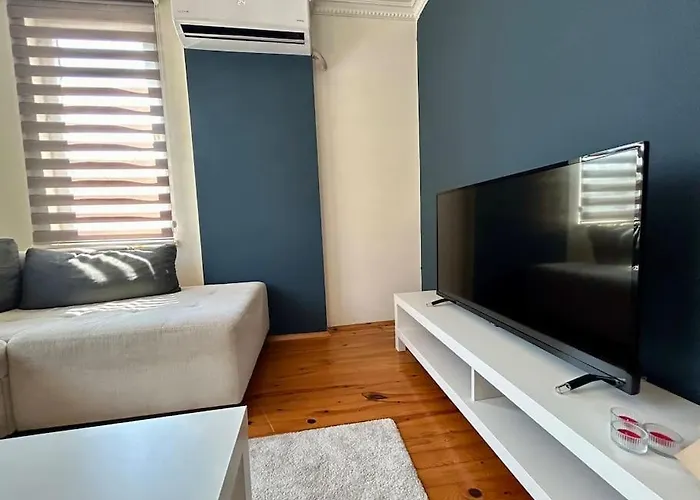 Merkezde Sueit アパート *